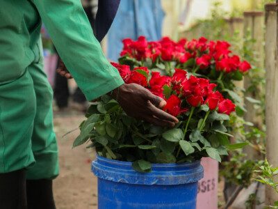 Agrarni novinari u Keniji