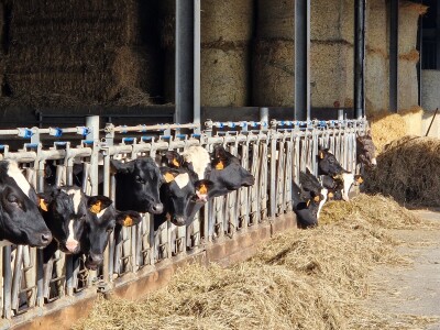 Poljoprivredni put susreta: Luksemburg