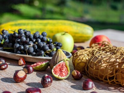 Eko edukacijska farma Greenville