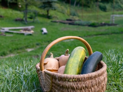 Eko edukacijska farma Greenville