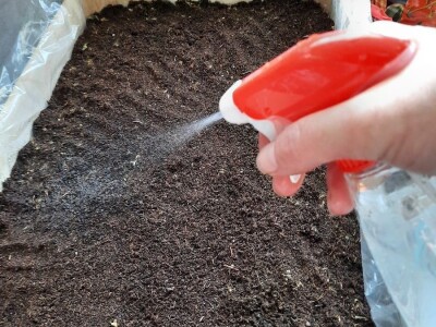 "Eko Etna" u ponudu uvrstila tečni koncentrat i sadnice stevije