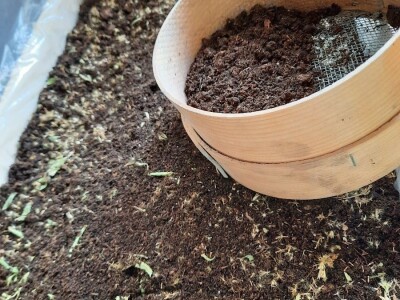 "Eko Etna" u ponudu uvrstila tečni koncentrat i sadnice stevije