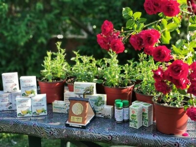 "Eko Etna" u ponudu uvrstila tečni koncentrat i sadnice stevije