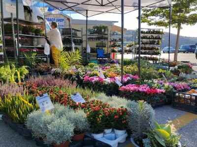 Eko-etno fest na Rabu