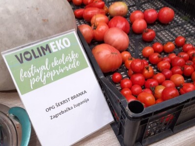 Eko festival Eko festival