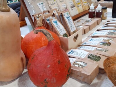 Eko festival Eko festival