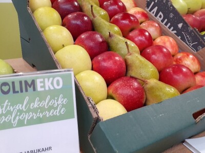 Eko festival Eko festival