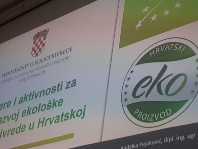 Eko festival Eko festival