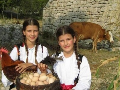 Josipove kćerke i eko jaja u Postinju Donjem Josipove kćerke i eko jaja u Postinju Donjem