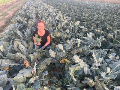 Eko Jasmina- Zajedno sa 12 porodica obrađuju 150 dunuma i planiraju proširivanje proizvodnje