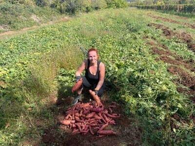 Eko Jasmina- Zajedno sa 12 porodica obrađuju 150 dunuma i planiraju proširivanje proizvodnje