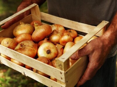 Eko Klanac - Ljubica Sabljak