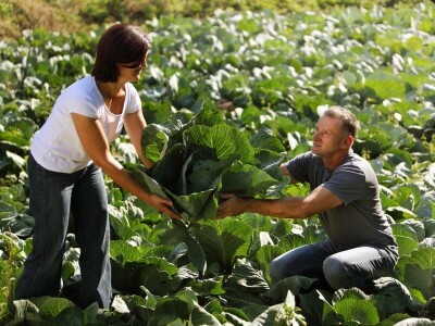 Eko Klanac - Ljubica Sabljak