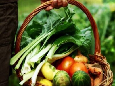 Eko Klanac - Ljubica Sabljak