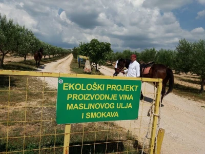 Eko poljoprivreda