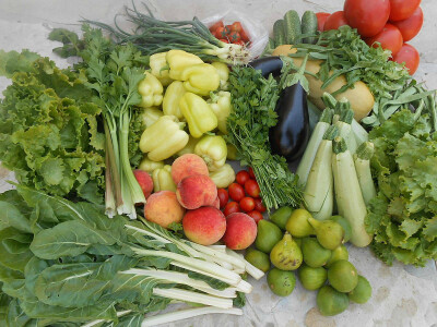 Eko proizvodi Jasmine Ćuštić Eko proizvodi Jasmine Ćuštić