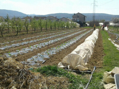 Eko proizvodi Jasmine Ćuštić Eko proizvodi Jasmine Ćuštić
