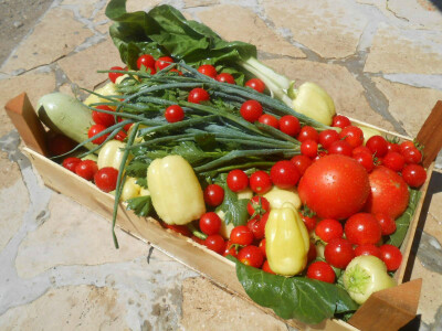 Eko proizvodi Jasmine Ćuštić Eko proizvodi Jasmine Ćuštić