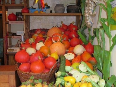 Eko-proizvodi iz dalmatinsko-zagorskih dolaca i krških polja