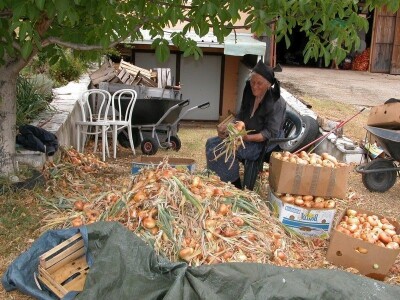 Eko-proizvodi OPG Majić Zec