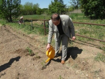 Ekološka proizvodnja povrća