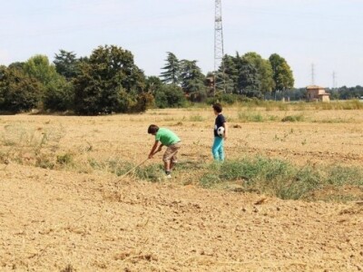 Eko-proizvodnja hrane u Italiji