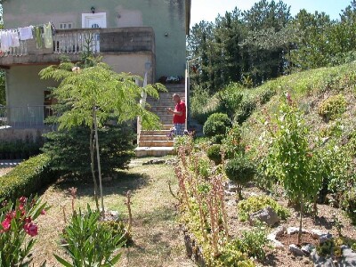 Eko-vrt u sastavu OPG Vedran Pezelj u Trilju