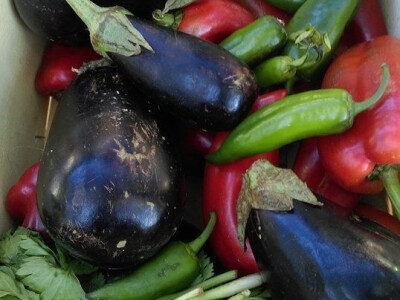 Povrće zdravo i svježe Povrće zdravo i svježe