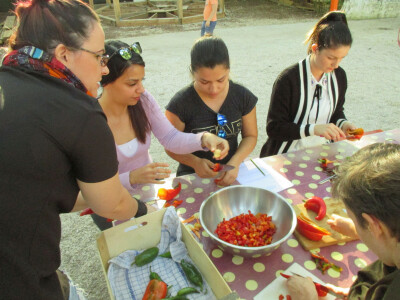 Mladi su glavni pokretači Mladi su glavni pokretači