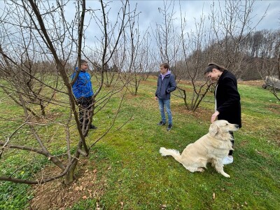 Ekološka poljoprivreda i Agrobiznis na Biotehničkom fakultetu Univerziteta FINRA u Tuzli