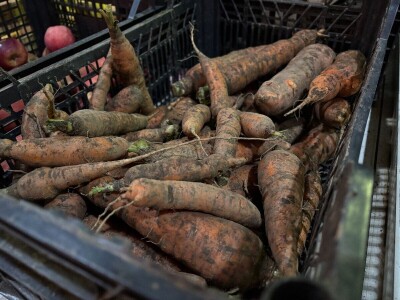Ekološka tržnica na zagrebačkom Jarunu ulazi u svoju drugu zimu