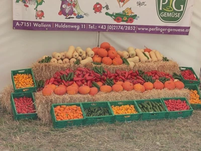 Ekološki dani polja u Gradišću-Biofeldtage 2021.