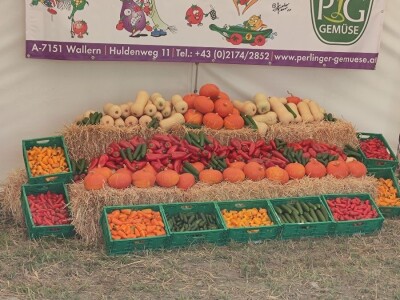 Ekološki dani polja u Gradišću-Biofeldtage 2021.