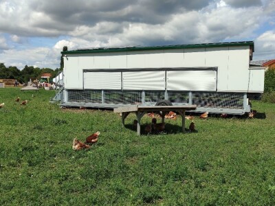 Ekološki dani polja u Gradišću-Biofeldtage 2021.