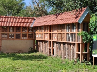 Ekološki dani polja u Gradišću-Biofeldtage 2021.