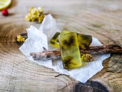 Ekološki uzgoj smilja - Natura Consulting