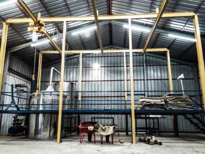 Ekološki uzgoj smilja - Natura Consulting