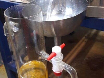 Ekološki uzgoj smilja - Natura Consulting