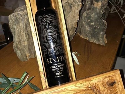 EKSKLUZIVNO - Sa masline stare 2.246 godina ubrali više od 100 kilograma vrhunskih plodova