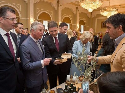 EKSKLUZIVNO - Sa masline stare 2.246 godina ubrali više od 100 kilograma vrhunskih plodova