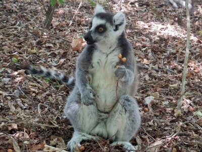 Ekspedicija Madagaskar