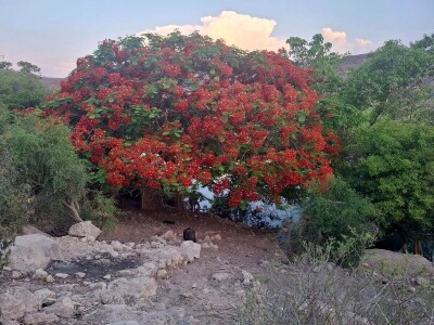Ekspedicija Madagaskar