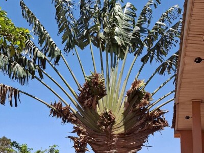 Ekspedicija Madagaskar