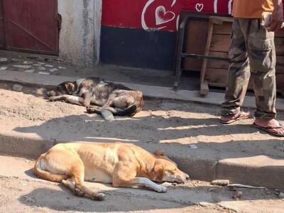 Ekspedicija Madagaskar