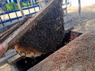 Ekspedicija Madagaskar