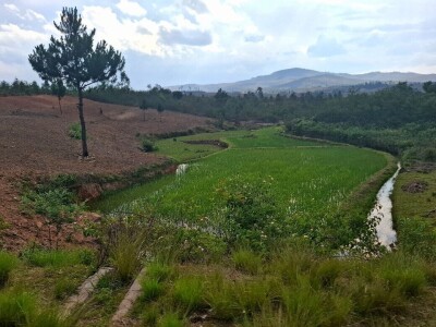 Ekspedicija Madagaskar