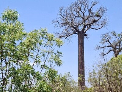 Ekspedicija Madagaskar