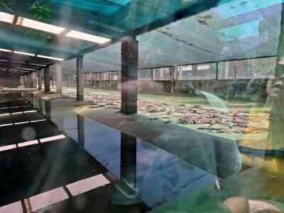 Ekspedicija Madagaskar