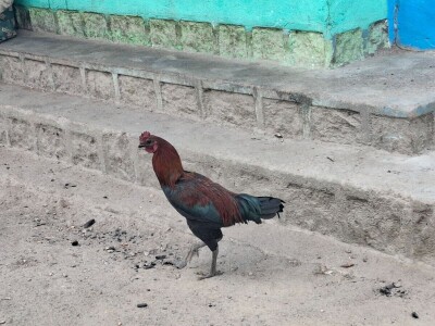 Ekspedicija Madagaskar