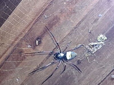 Ekspedicija Madagaskar